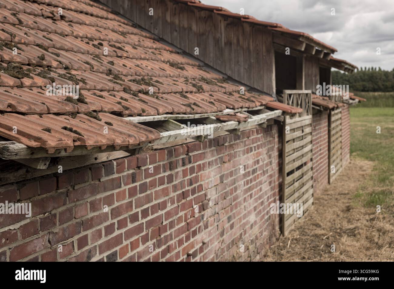 Tegole di terracotta rotte e grondaia di legno che necessitano di riparazioni su fienile in mattoni fatiscenti in un ambiente rurale Foto Stock