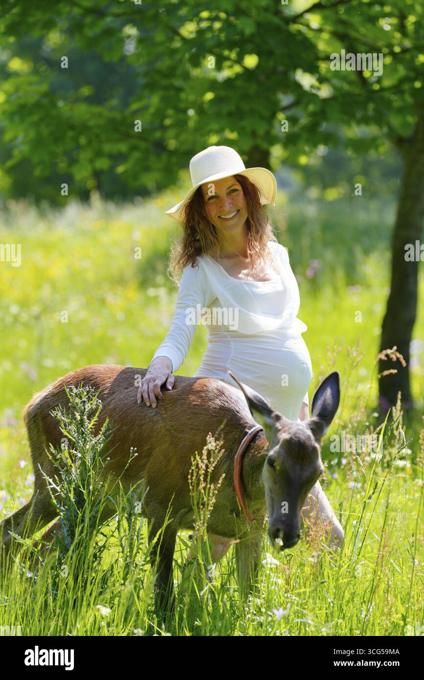 Donna incinta con adame doe, cervo europeo, cervo elafo, domino, Karlovy Vary, Boemia occidentale, Repubblica Ceca Foto Stock