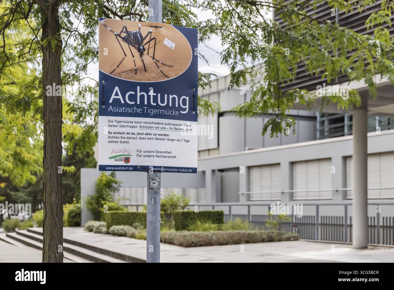 Attenzione zanzara tigre asiatica (Aedes albopictus) . Poster con avvertenze di pericolo e regole di comportamento per la popolazione della città di Walldorf. Muro Foto Stock