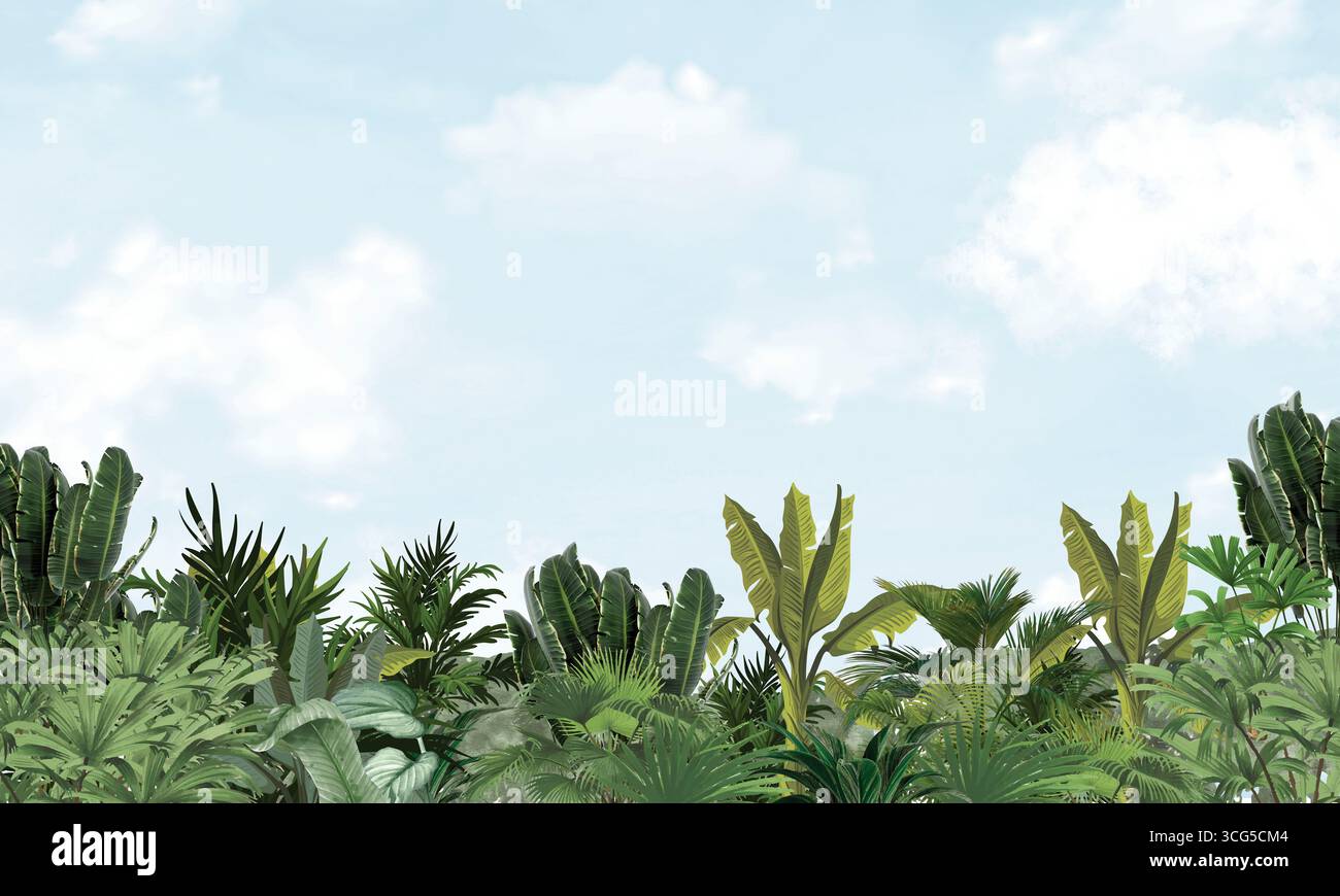 Le palme tropicali lasciano l'acquerello sullo sfondo delle pareti della giungla Foto Stock