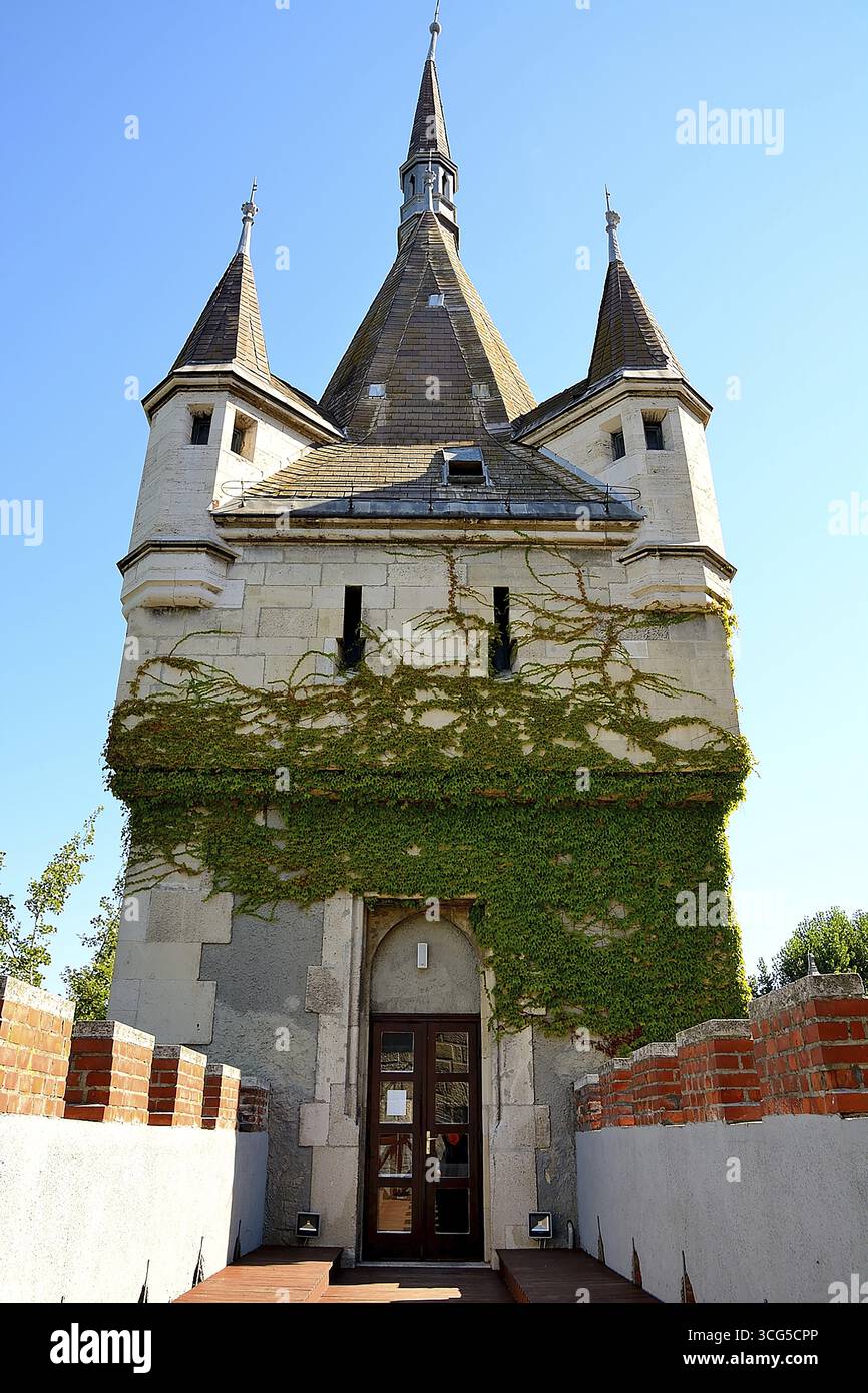Architettura medievale del castello vajdahunyad a budapest, con una torre coperta di edera che si arrampica, adagiata su un cielo azzurro Foto Stock