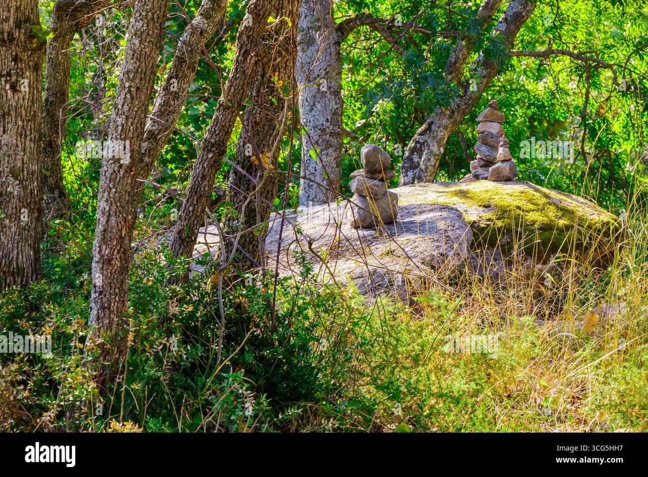 Due formazioni di pietra impilate con cura si trovano in cima a una grande roccia in mezzo a una vibrante foresta verde, circondata da alti alberi e colorati sottobosco, riflessi Foto Stock