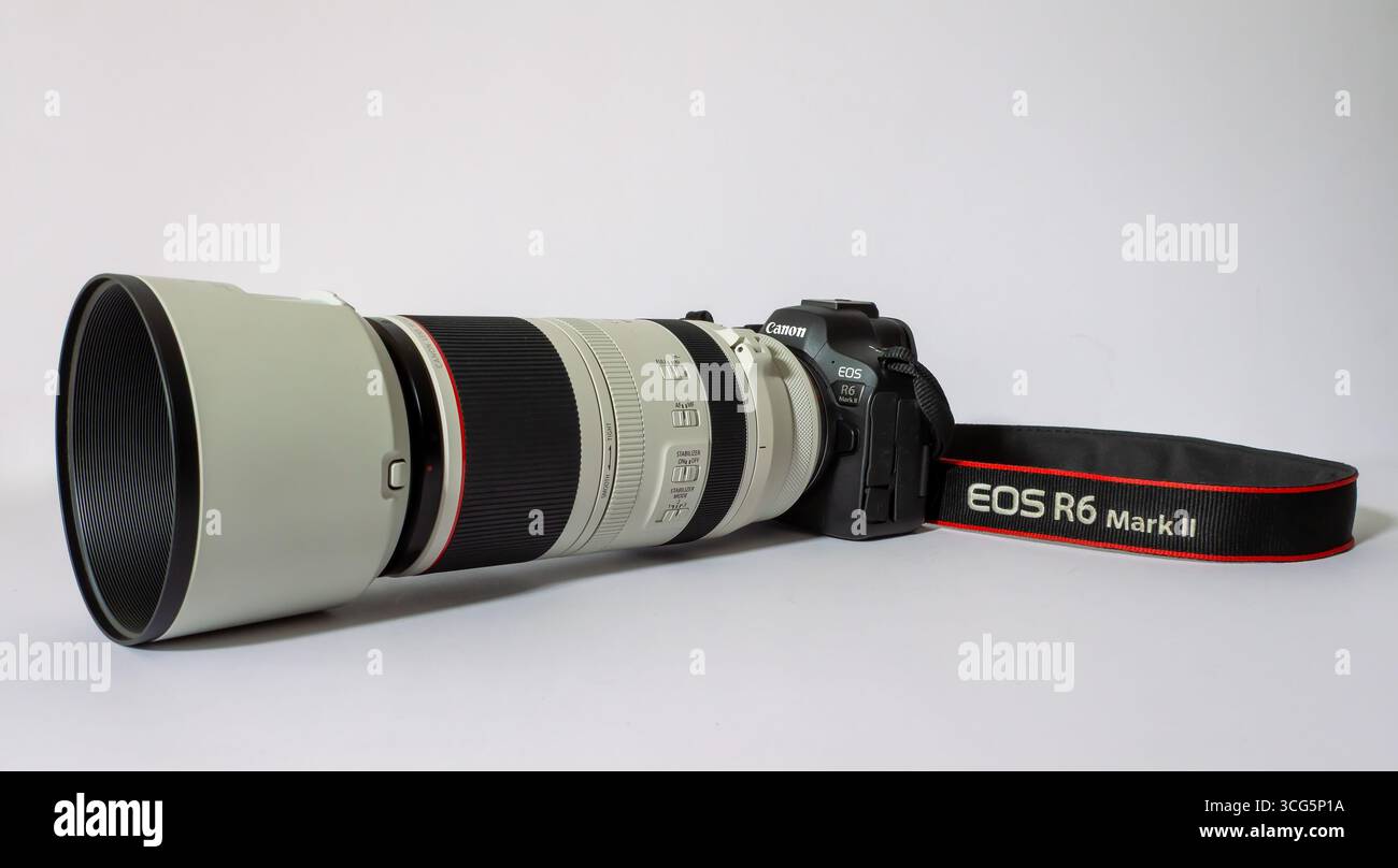 Canon EOS R6 Mark II con RF100-500mm F4.5-7,1 L IS l'obiettivo USM è adatto per una fotocamera professionale full-frame ed è adatto per l'uso nella fauna selvatica e nello sport Foto Stock
