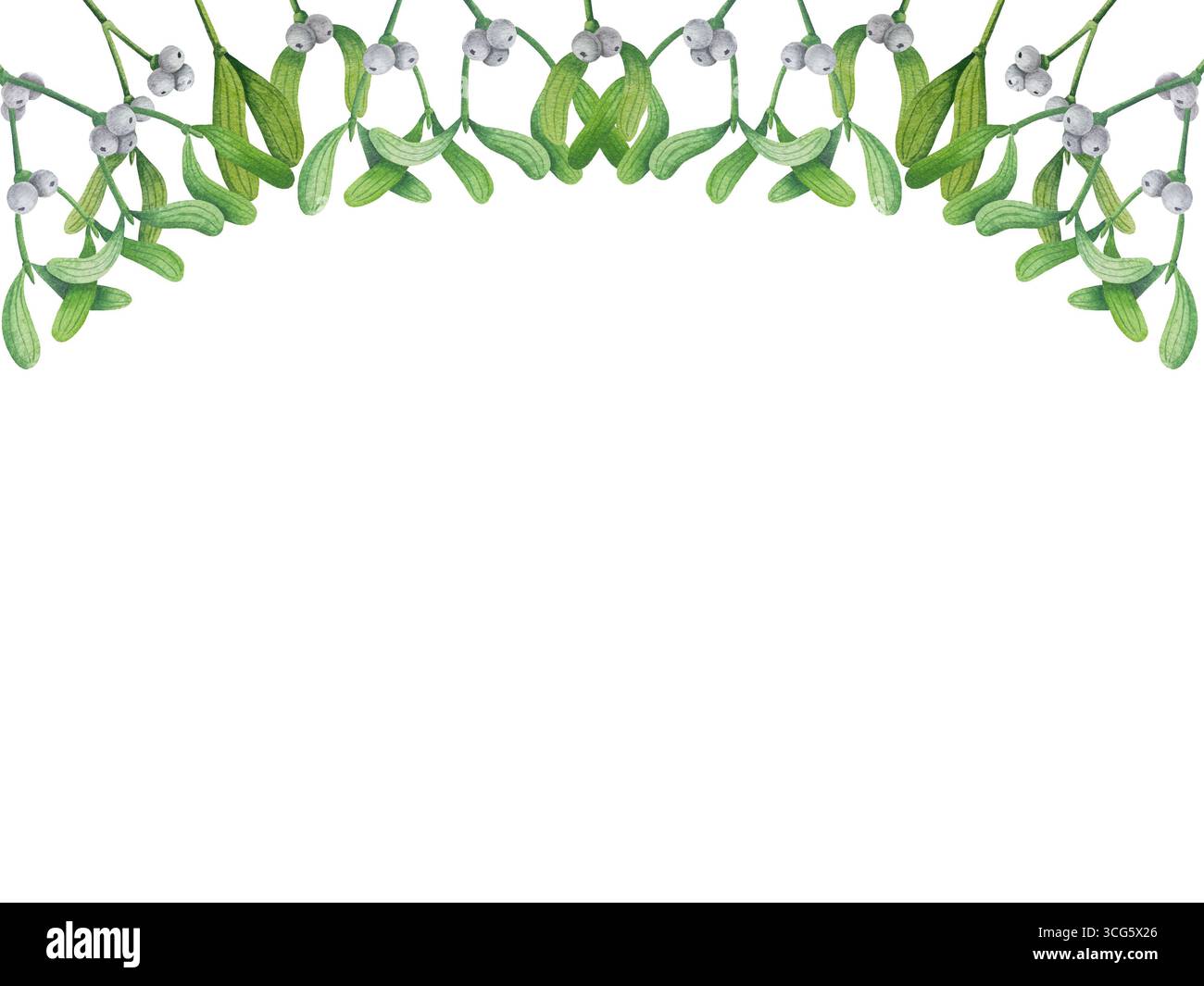 Set di illustrazioni di mignoli ad acquerello e bacche di agrifoglio. Raccolta di rami di alberi di Natale, foglie e bacche per il biglietto di auguri di Capodanno Foto Stock