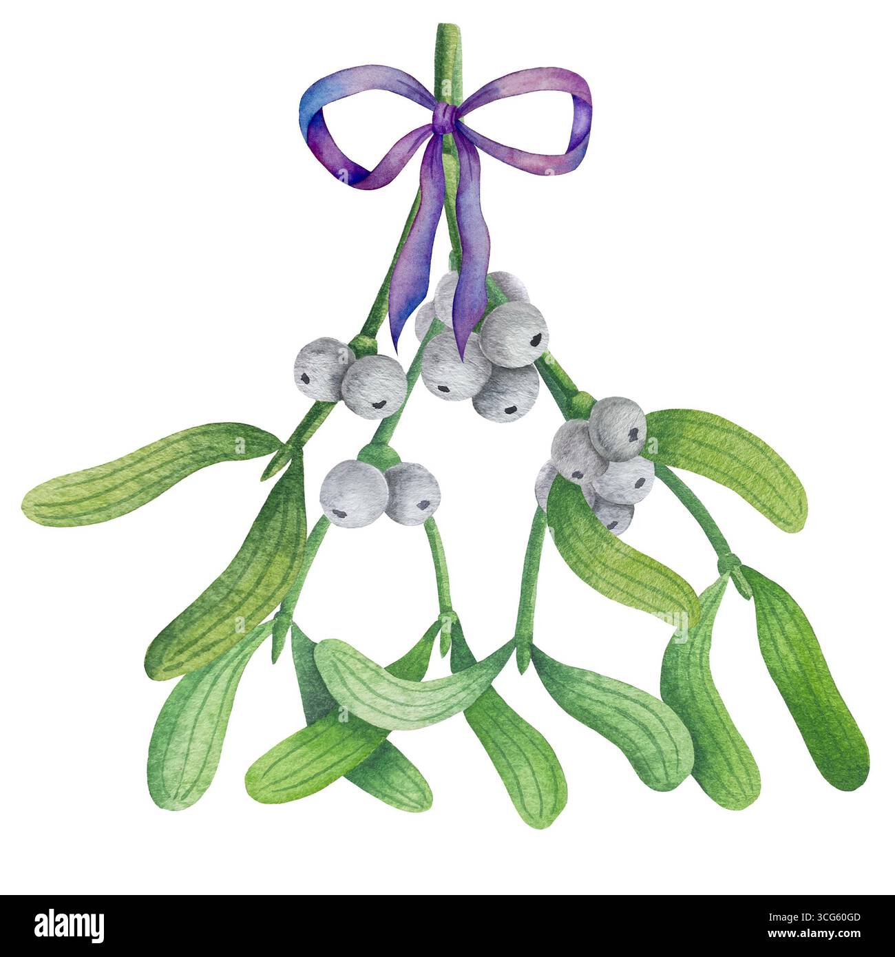 Set di illustrazioni di mignoli ad acquerello e bacche di agrifoglio. Raccolta di rami di alberi di Natale, foglie e bacche per il biglietto di auguri di Capodanno Foto Stock