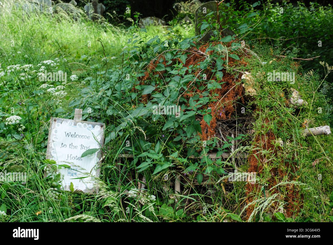 Cirencester, Cotswolds, Inghilterra, Regno Unito St. John the Baptist Church Cemetery. Il cimitero viene lasciato libero durante il "No Mow May" per incoraggiare i fiori selvatici Foto Stock