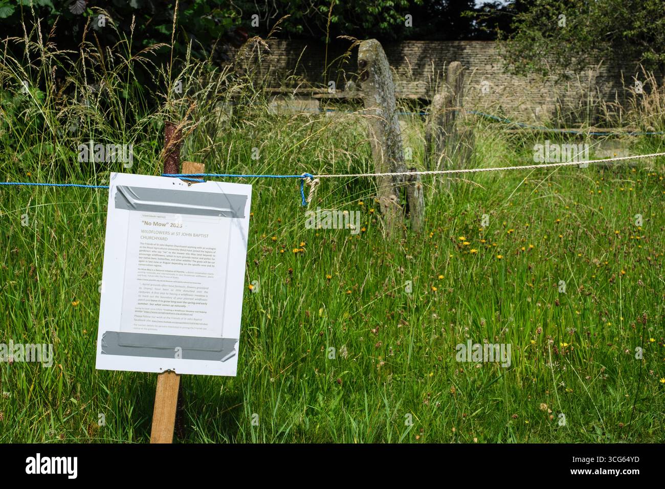 Cirencester, Cotswolds, Inghilterra, Regno Unito St. John the Baptist Church Cemetery. Il cimitero viene lasciato libero durante il "No Mow May" per incoraggiare i fiori selvatici Foto Stock