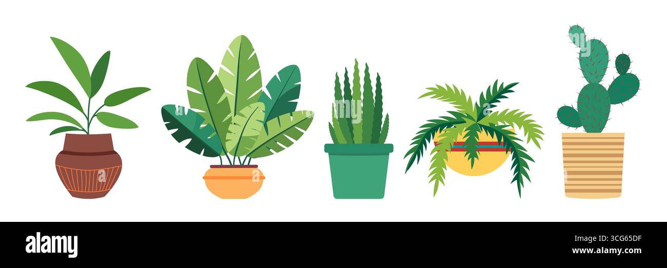 Raccolta di piante da interno in pentola di ceramica. Illustrazione vettoriale piatta. Vegetazione verde per la decorazione della casa, balcone, terrazza, giardino, patio, ver Illustrazione Vettoriale