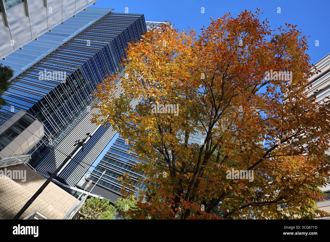 Splendido paesaggio autunnale con cieli limpidi, foglie autunnali sugli alberi della città e paesaggi urbani Foto Stock