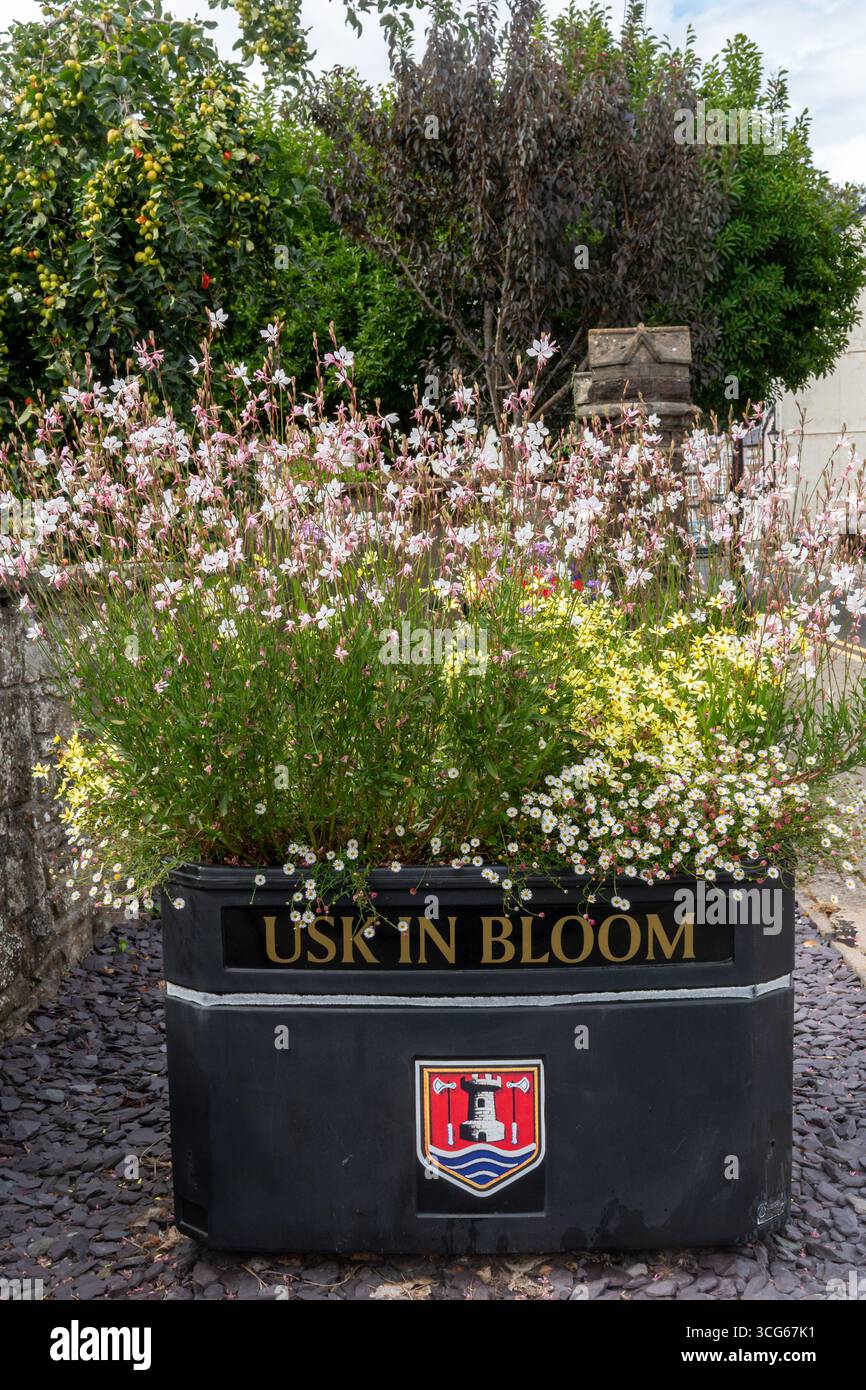 Piantatrice piena di fiori segnata Usk in Bloom, nella città di Usk nel Monmouthshire, Galles, Regno Unito, a volte chiamata la città dei fiori Foto Stock