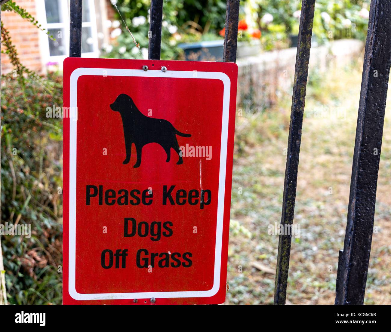 Cartello rosso sulla recinzione nera in metallo con la scritta "Please keep Dogs Off Grass" (tenere i cani fuori dall'erba) con illustrazione della silhouette di un cane e dello sfondo dell'erba Foto Stock