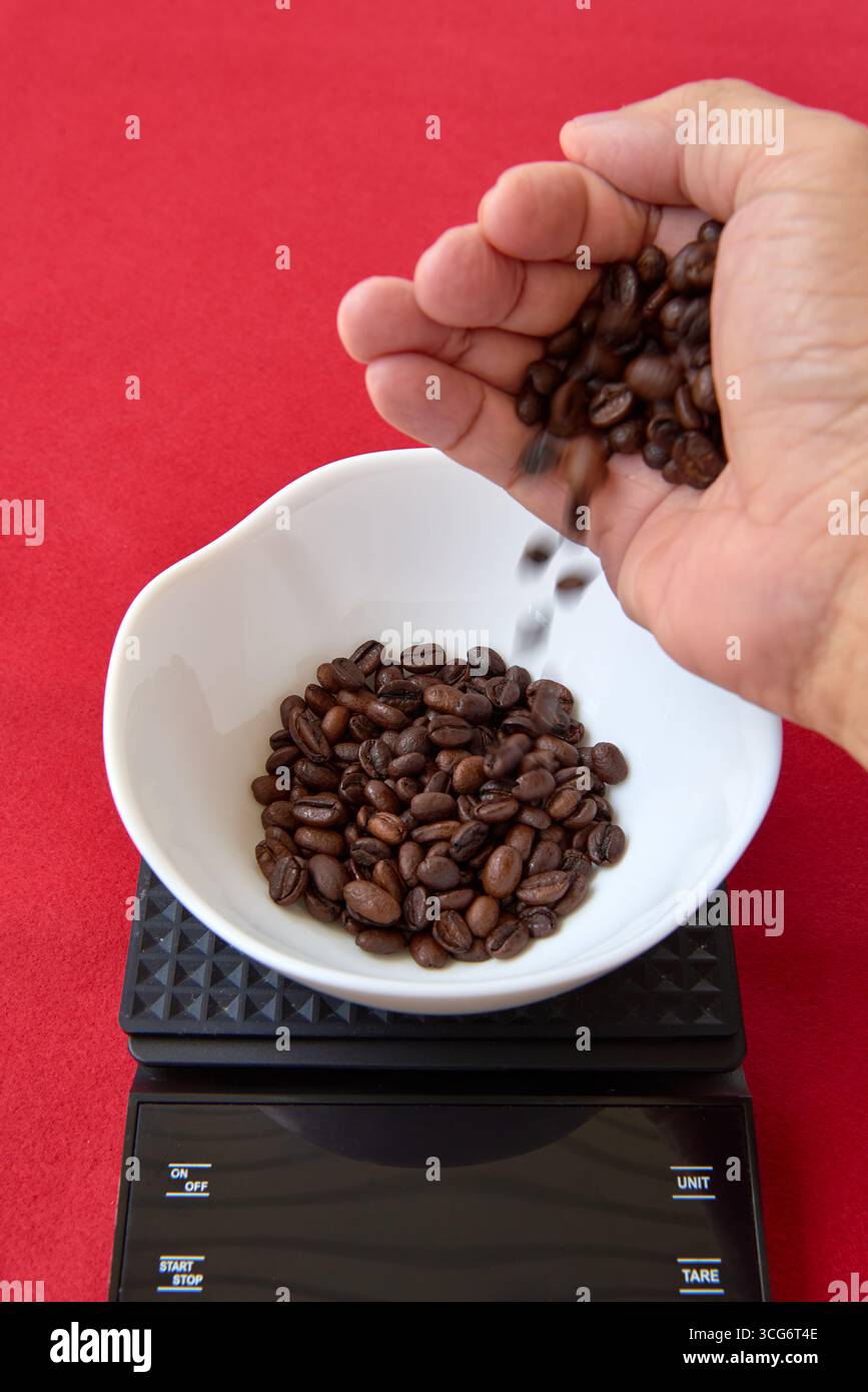 La mano di un barista pesa i chicchi di caffè freschi su una bilancia da cucina di precisione su sfondo rosso. Un concetto per la lavorazione del caffè, accurato m Foto Stock