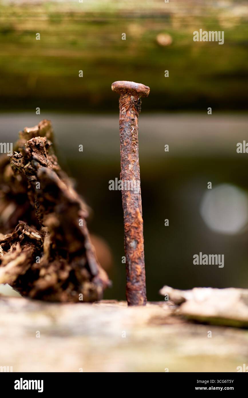 Un chiodo arrugginito verticale in legno antico, che simboleggia il decadimento, il tempo e le strutture dimenticate. Perfetto per il design, lo sfondo o l'uso simbolico. Foto Stock