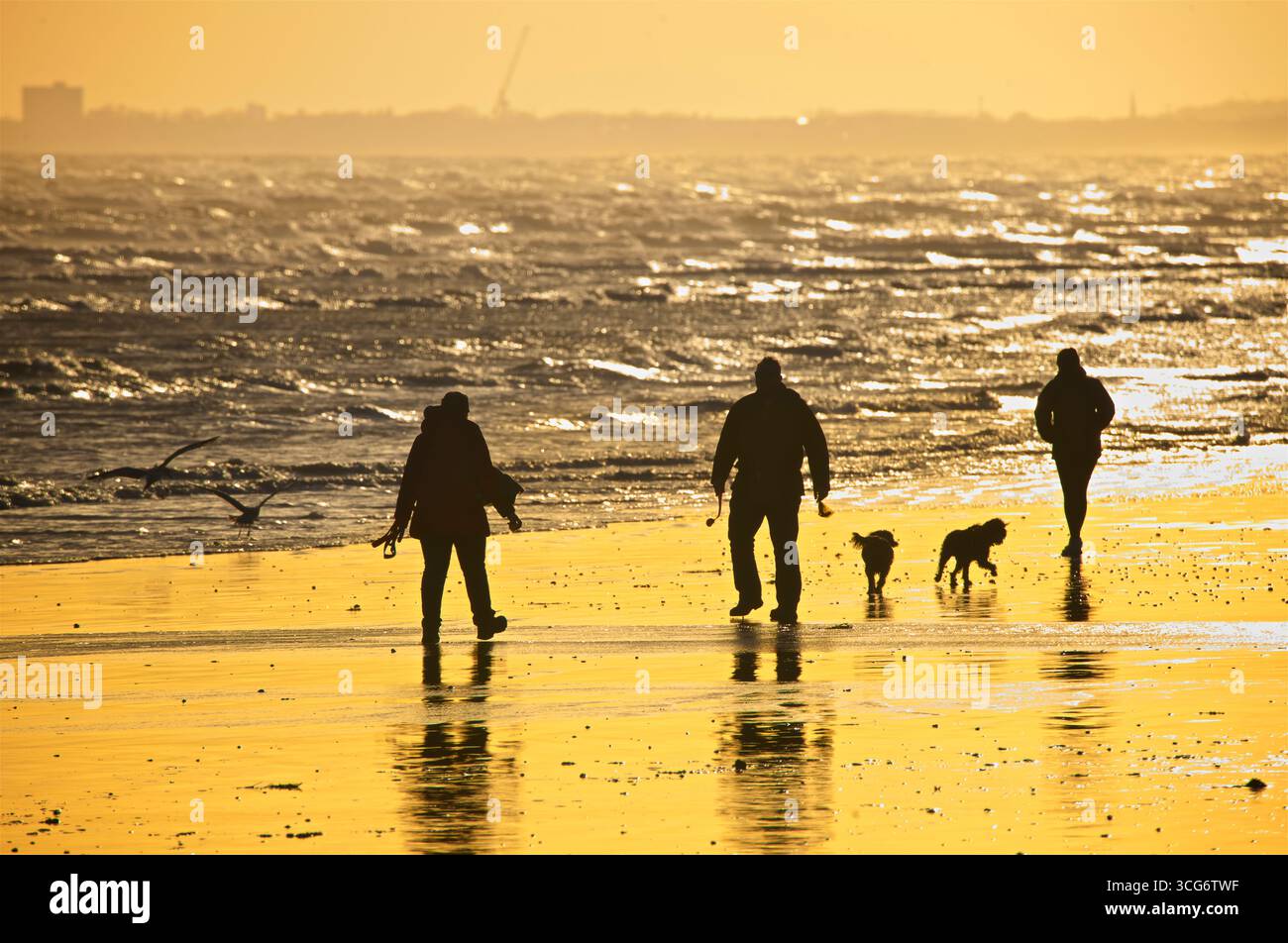 Gente che si gode la bassa marea al tramonto. Sagome di persone e Shoreham Power Station in lontananza. Brighton e Hove, Inghilterra, Regno Unito Foto Stock
