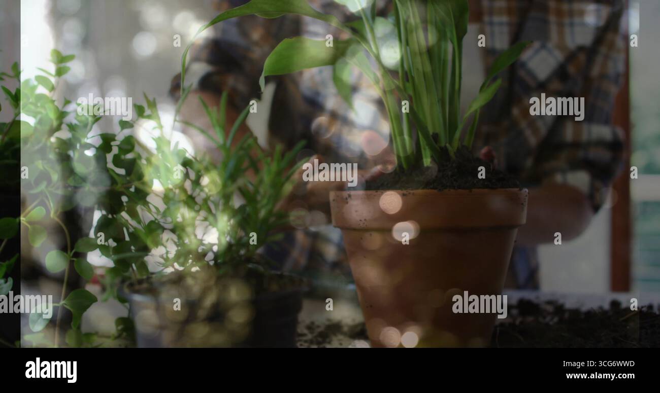 Reintravedere una donna in camicia a quadri, jeans che aggiungono terreno in vaso di terracotta al tavolo da giardinaggio Foto Stock