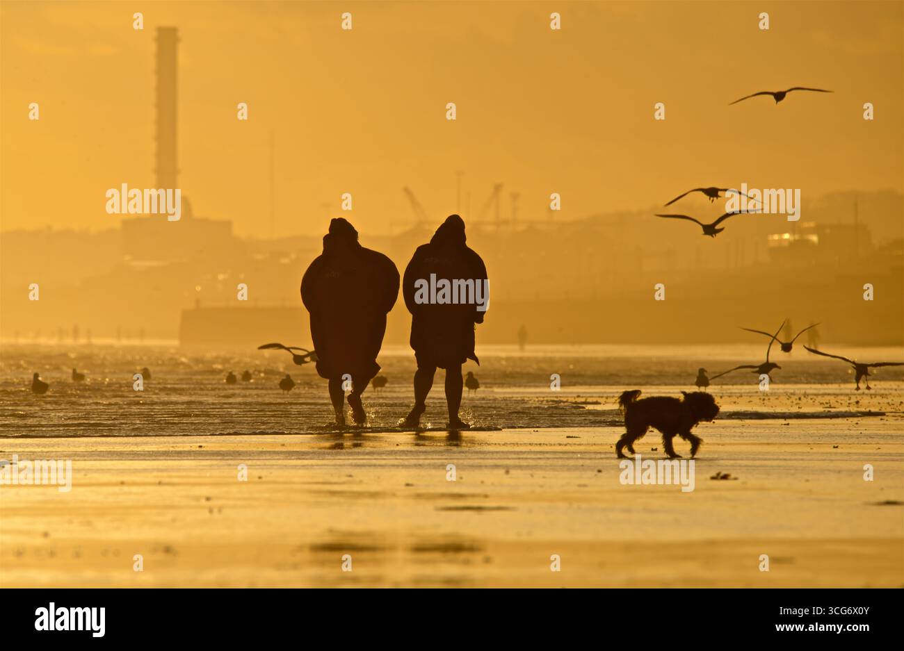 Gente che si gode la bassa marea al tramonto. Sagome di persone e Shoreham Power Station in lontananza. Brighton e Hove, Inghilterra, Regno Unito Foto Stock