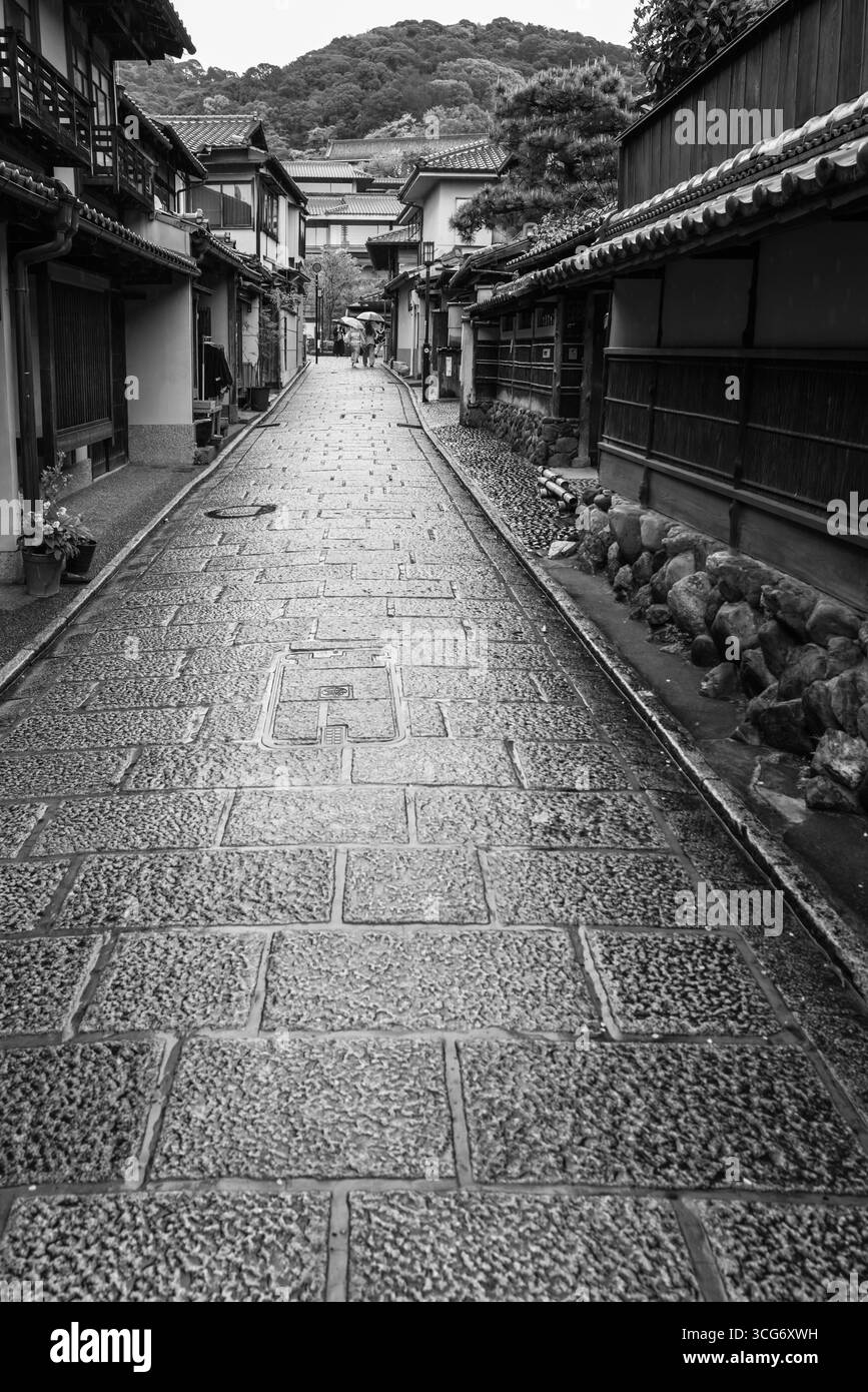 Incantevole vista di via Ichinen-Zaka con pavimenti piastrellati e case in legno, enfatizzata da un'estetica in bianco e nero, che crea un ambiente sereno e lussuoso Foto Stock