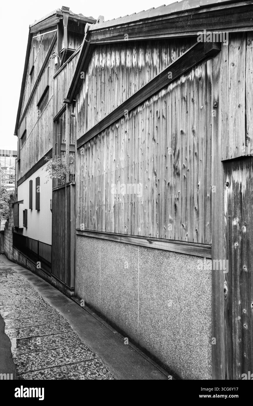 Fotografia monocromatica che cattura il fascino di uno stretto vicolo fiancheggiato da edifici in legno tradizionali, raffigurante una miscela estetica di texture rustiche a. Foto Stock