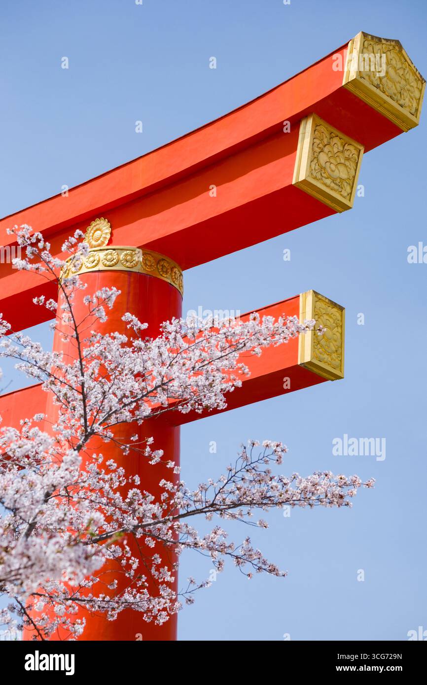 Heian-Jingu Shrine Grand Torii dietro ciliegi giapponesi in fiore, Sakyo Ward, Kyoto, Kansai, Honshu, Giappone Foto Stock