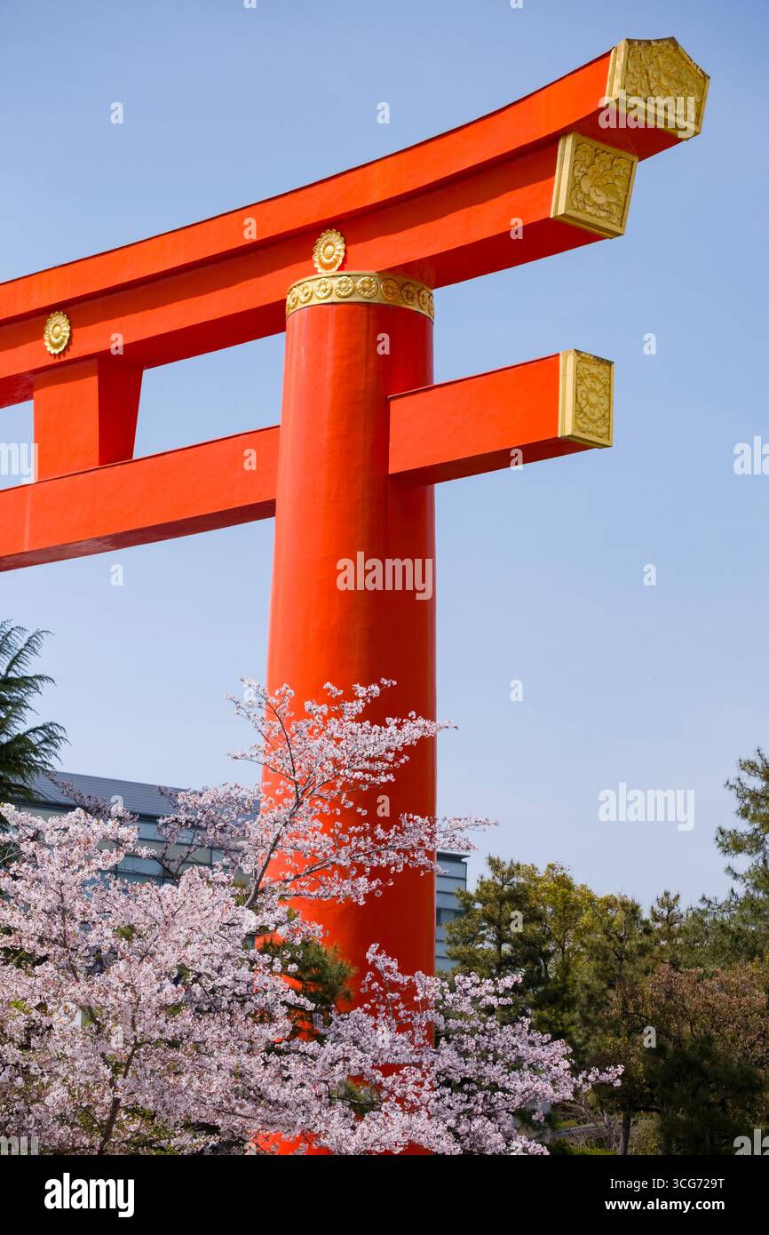 Heian-Jingu Shrine Grand Torii dietro ciliegi giapponesi in fiore, Sakyo Ward, Kyoto, Kansai, Honshu, Giappone Foto Stock