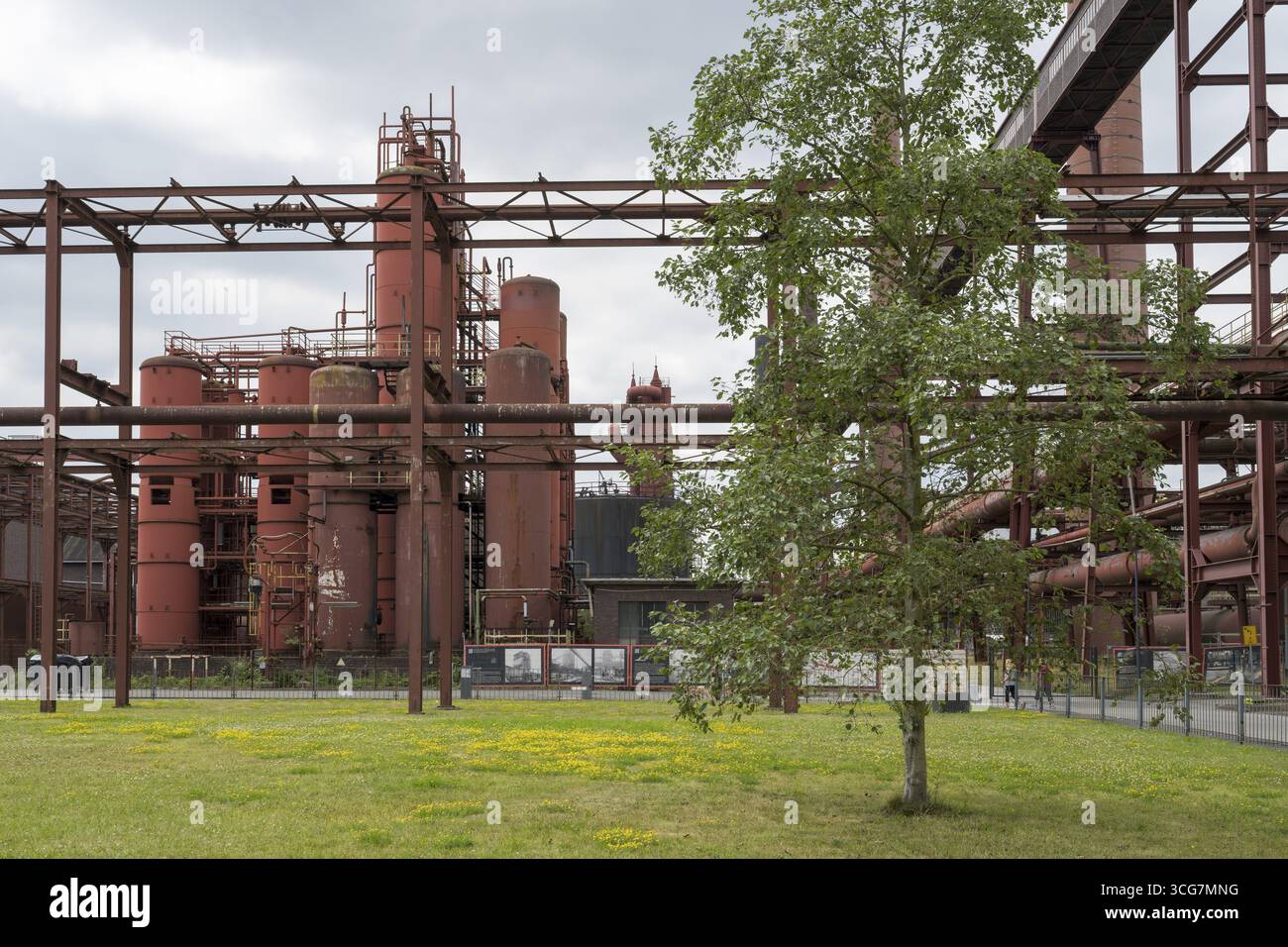 Pre-refrigeratori e camini sul sito della cokeria, il complesso industriale della miniera di carbone di Zollverein, sito patrimonio dell'umanità dell'UNESCO, Route of Industrial Her Foto Stock