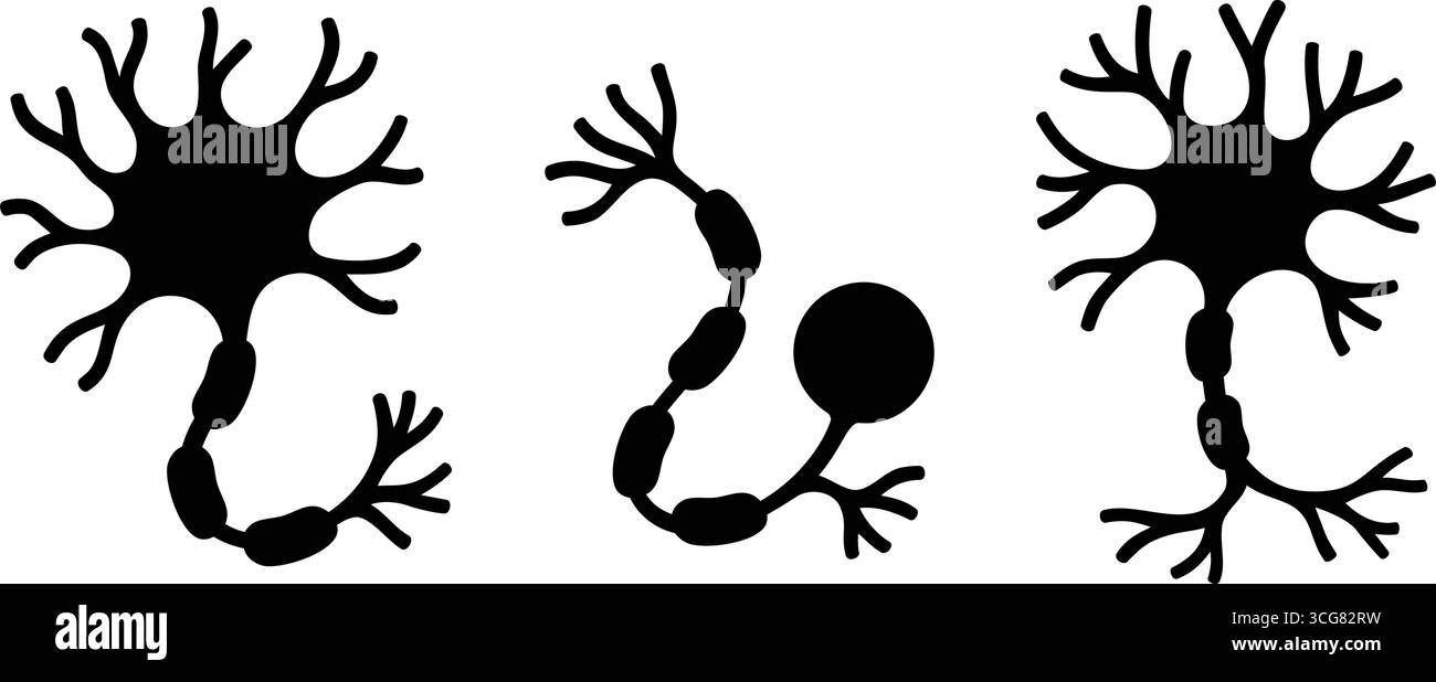 Tre tipi di neuroni che mostrano assoni, dendriti e rami sinaptici per uso scientifico o educativo Illustrazione Vettoriale