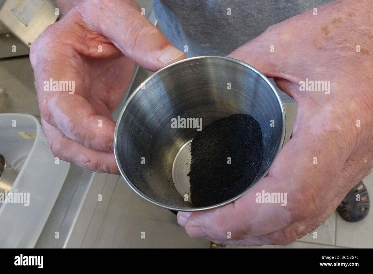 Crevalcore (Bologna). Il progetto sterile male del Centro Agricoltura ambiente prevede l'allevamento di zanzare tigre maschili sterilizzate da rilasciare in ambienti urbani tramite droni per combattere la trasmissione di dengue, zika e chikungunya. La foto mostra un contenitore con migliaia di uova di zanzara. NB: PER UTILIZZARE LE FOTOGRAFIE, È OBBLIGATORIO MENZIONARE IL CENTRO AGRICOLTURA AMBIENTE - G. NICOLI - NELLA DIDASCALIA O NELL'ARTICOLO. Foto Stock