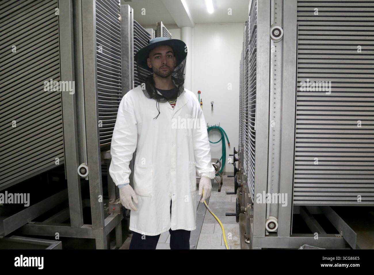 Crevalcore (Bologna). Il progetto sterile male del Centro Agricoltura ambiente prevede l'allevamento di zanzare tigre maschili sterilizzate da rilasciare in ambienti urbani tramite droni per combattere la trasmissione di dengue, zika e chikungunya. NB: PER UTILIZZARE LE FOTOGRAFIE, È OBBLIGATORIO MENZIONARE IL CENTRO AGRICOLTURA AMBIENTE - G. NICOLI - NELLA DIDASCALIA O NELL'ARTICOLO. Foto Stock