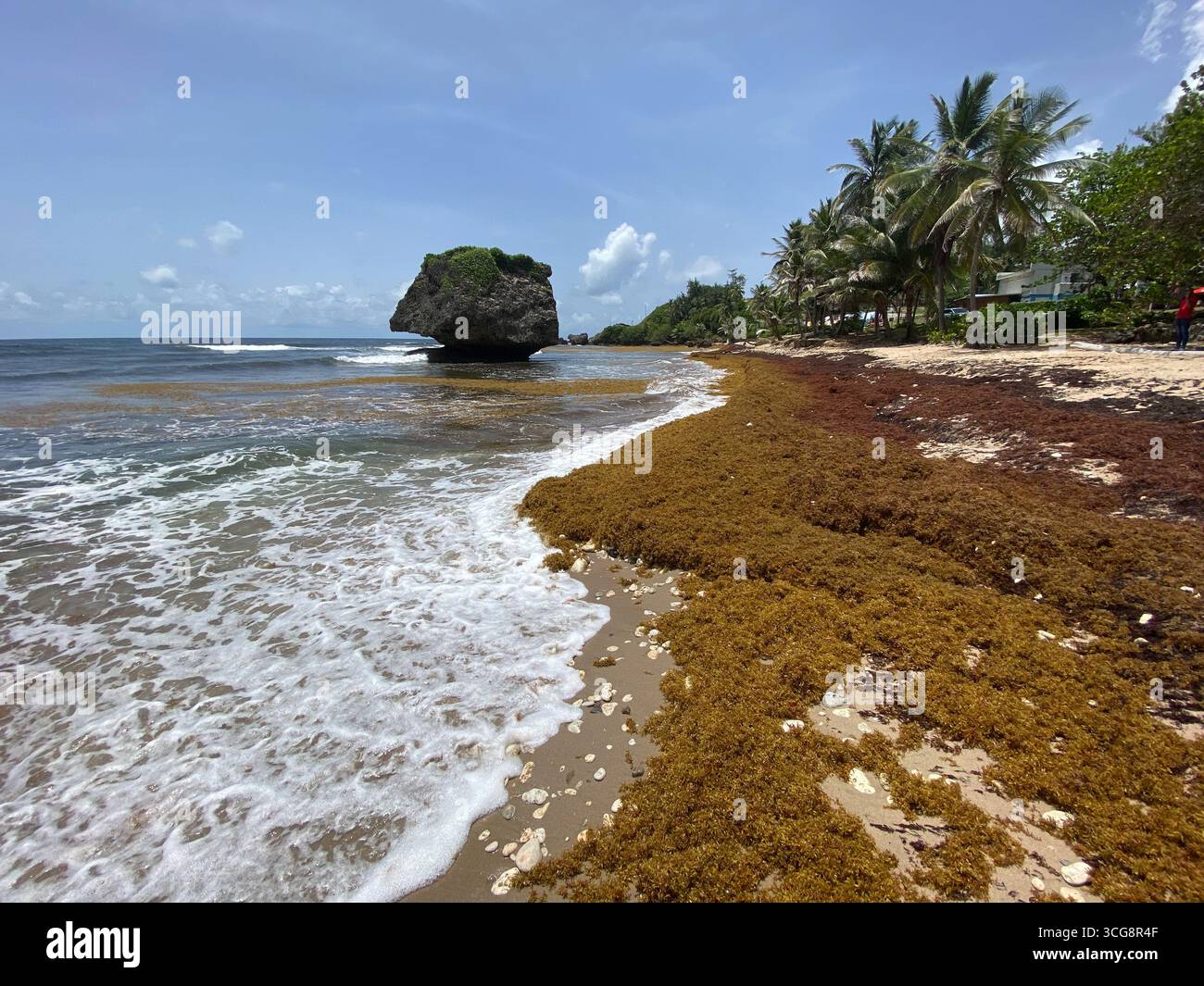 Vista dalla spiaggia vicino a Bathsheba, Barbados - Immagine stock catturata con smartphone