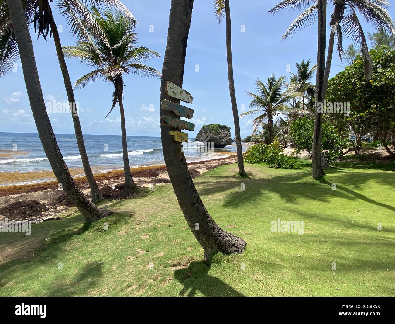 Vista dalla spiaggia vicino a Bathsheba, Barbados - Immagine stock catturata con smartphone