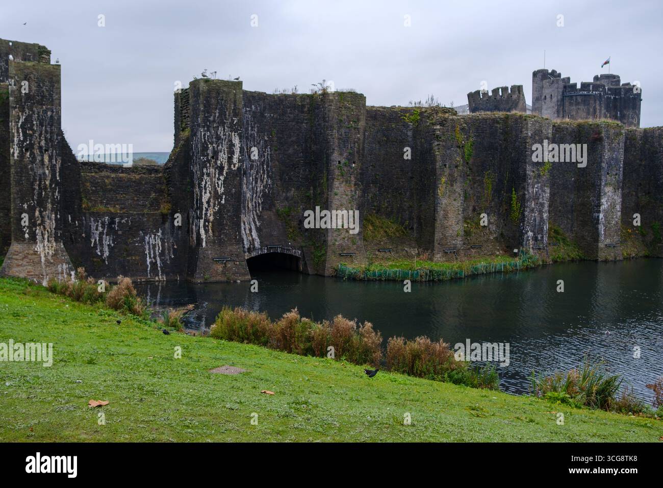 Vista di una formidabile fortezza medievale che si erge da un fossato ancora, le sue mura di pietra intemprate riflettono il cielo cupo di Caerphilly, Galles, Regno Unito. Foto Stock