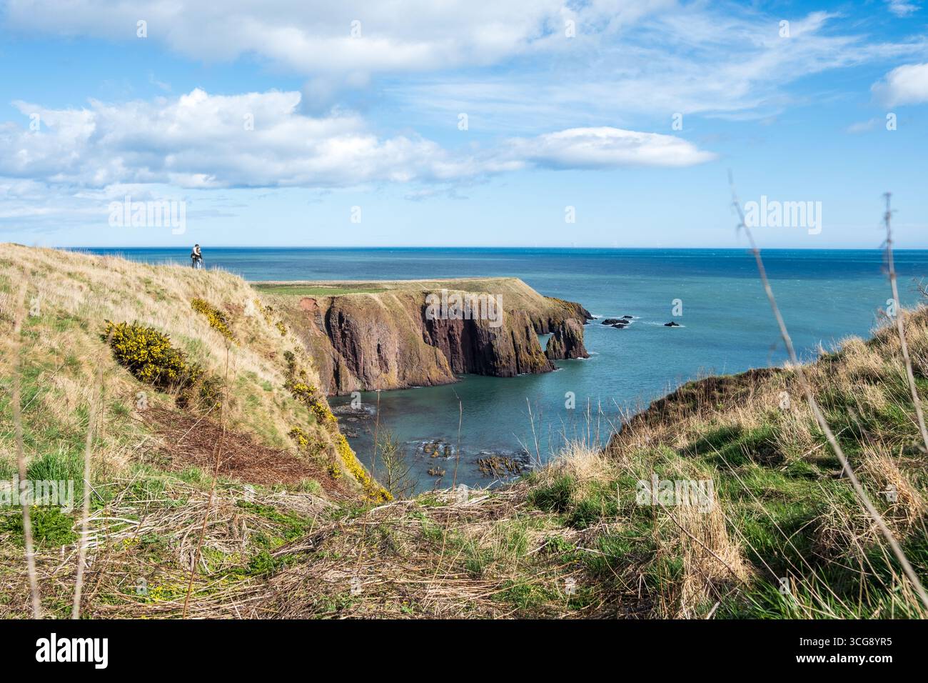 Vista delle aspre scogliere che si tuffano nel mare turchese sotto un vasto cielo punteggiato di nuvole, la terra adornata di erba verde, Stonehaven, Scozia, Regno Unito. Foto Stock