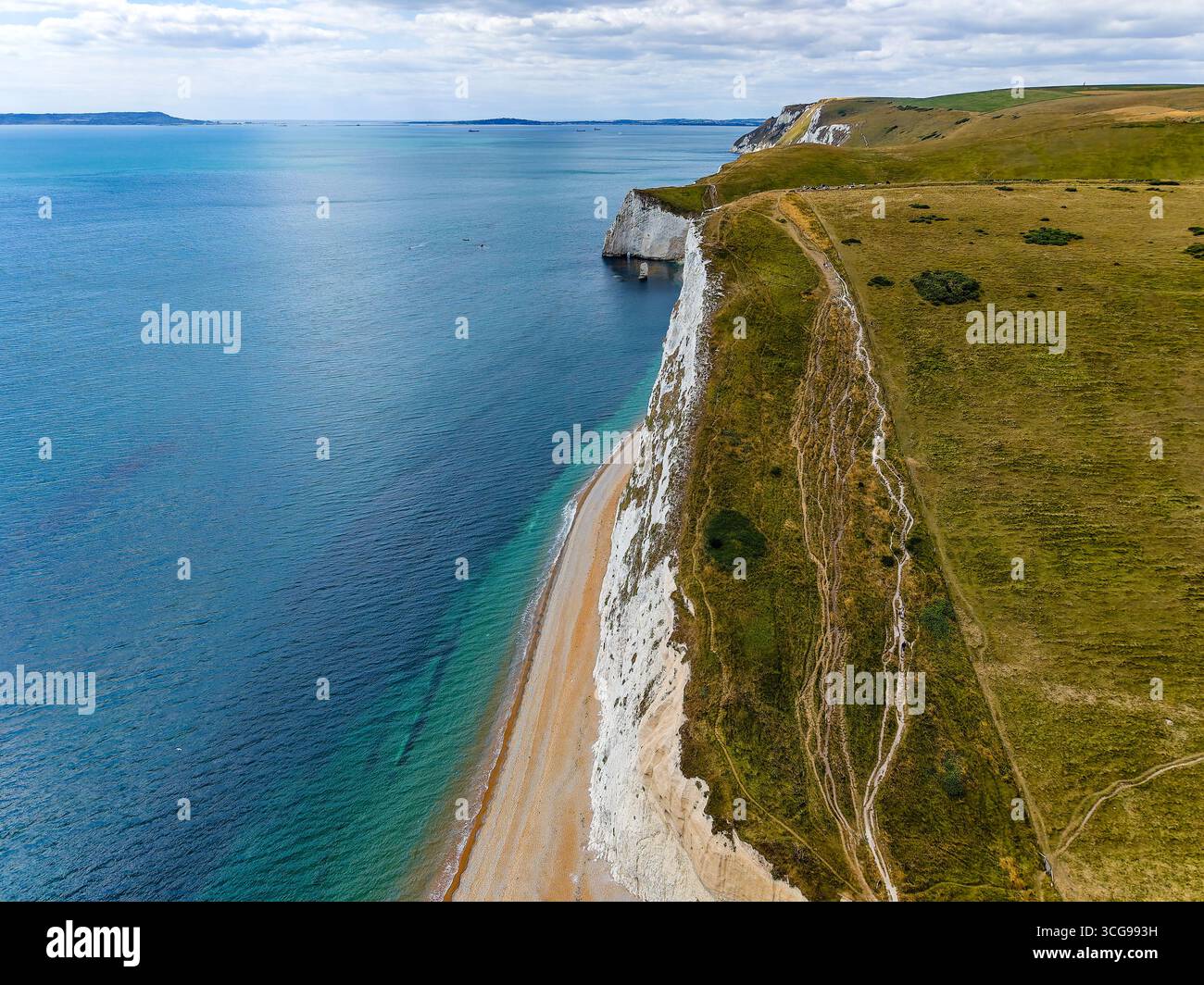 Ampio paesaggio costiero del Canale della Manica con verdi colline e scogliere di gesso Foto Stock