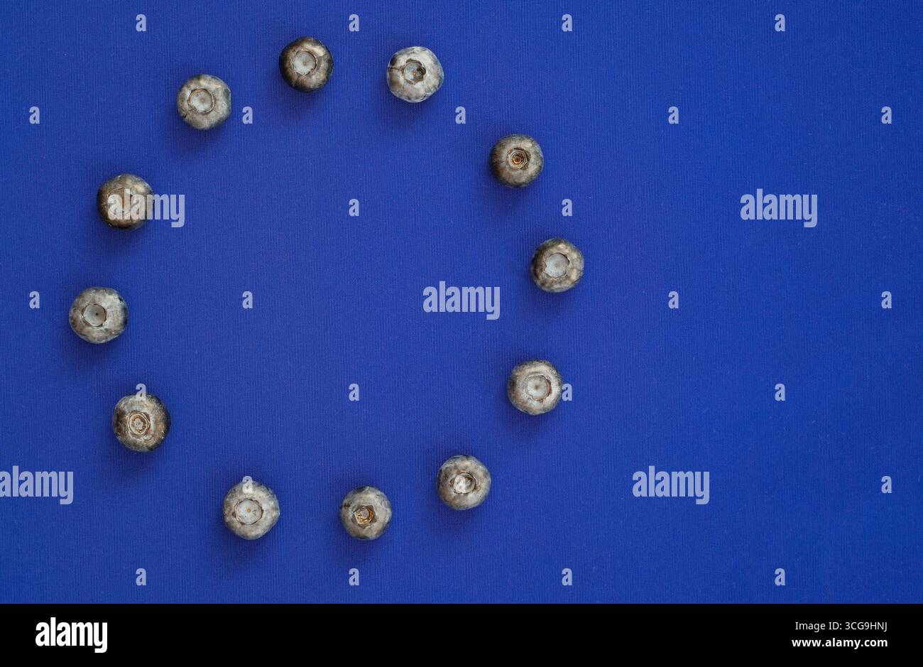 Mirtilli disposti in cerchio su sfondo blu per imitare le stelle della bandiera dell'Unione europea. Сonceptual rappresentazione della produzione e del commercio di bacche. Foto Stock