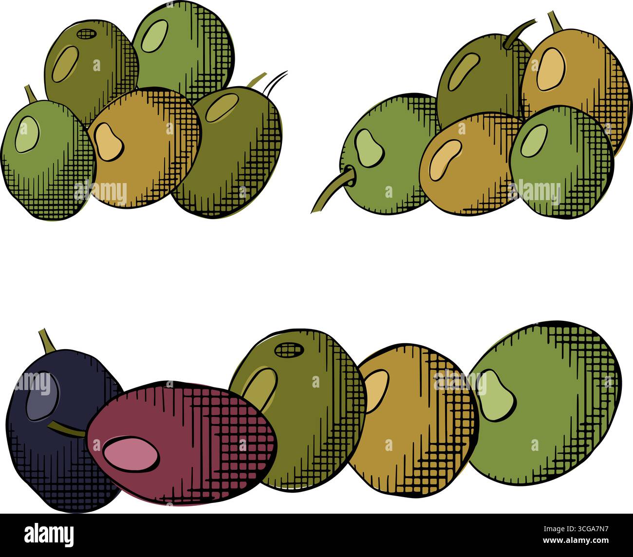 Frutta di oliva composizione di bacche di oliva colorata. Illustrazione dell'inchiostro con linee grafiche vettoriali. Insegna botanica d'arte greca. Prodotto sano. per il pacchetto, holiday des Illustrazione Vettoriale