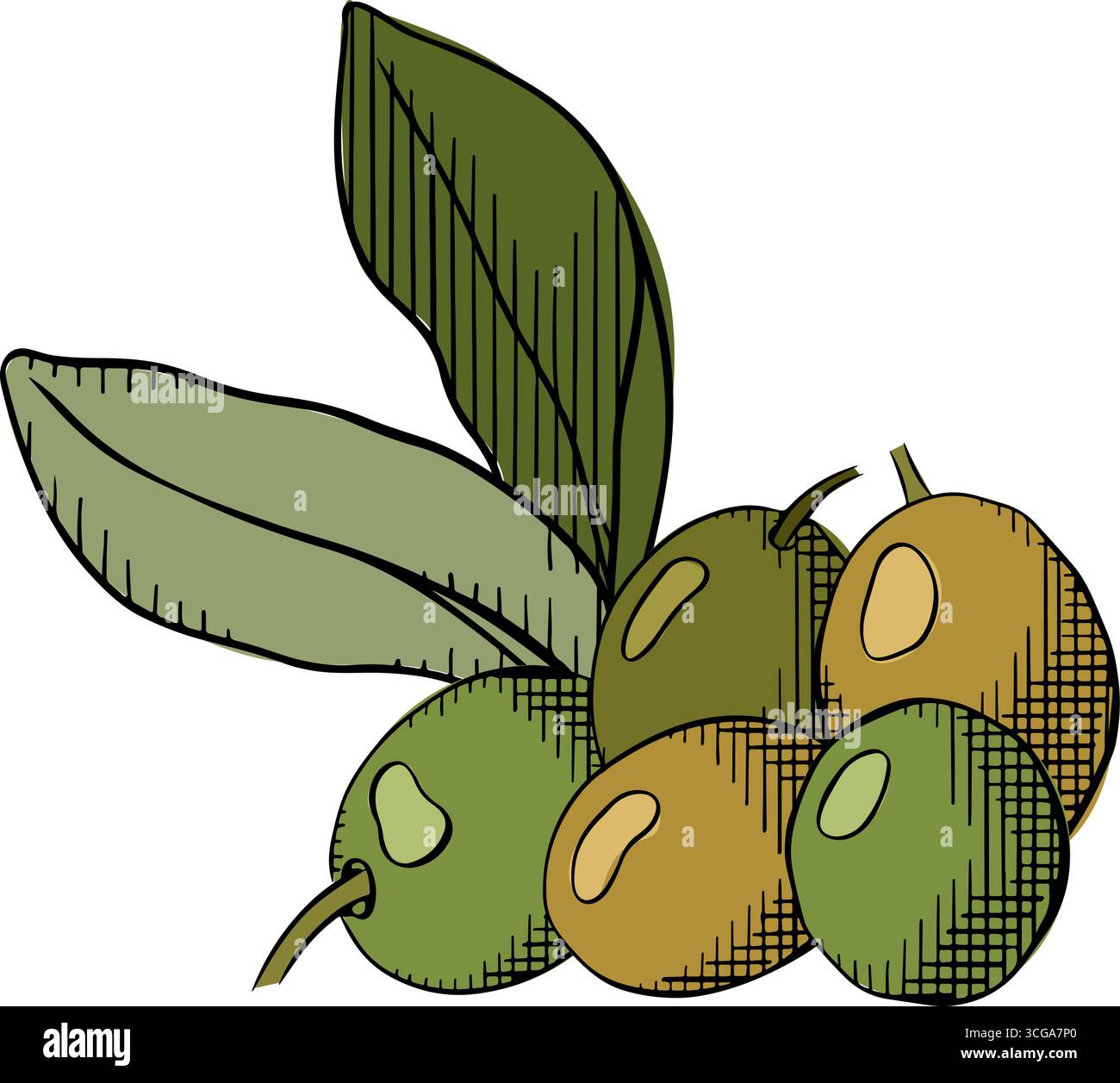 Sfondo verde con decorazioni di ulivi. Composizione di fragole di oliva colorata. Illustrazione dell'inchiostro con linee grafiche vettoriali. Illustrazione del ramo d'olivo della natura Illustrazione Vettoriale