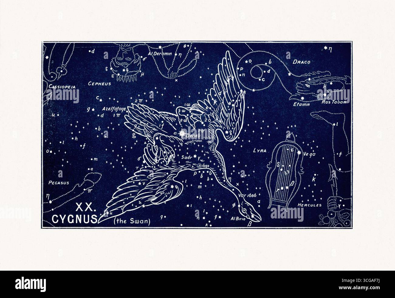 Antica mappa costellata di Cygnus, illustrazione di stelle celesti pubblicata a Londra, 1893. Foto Stock