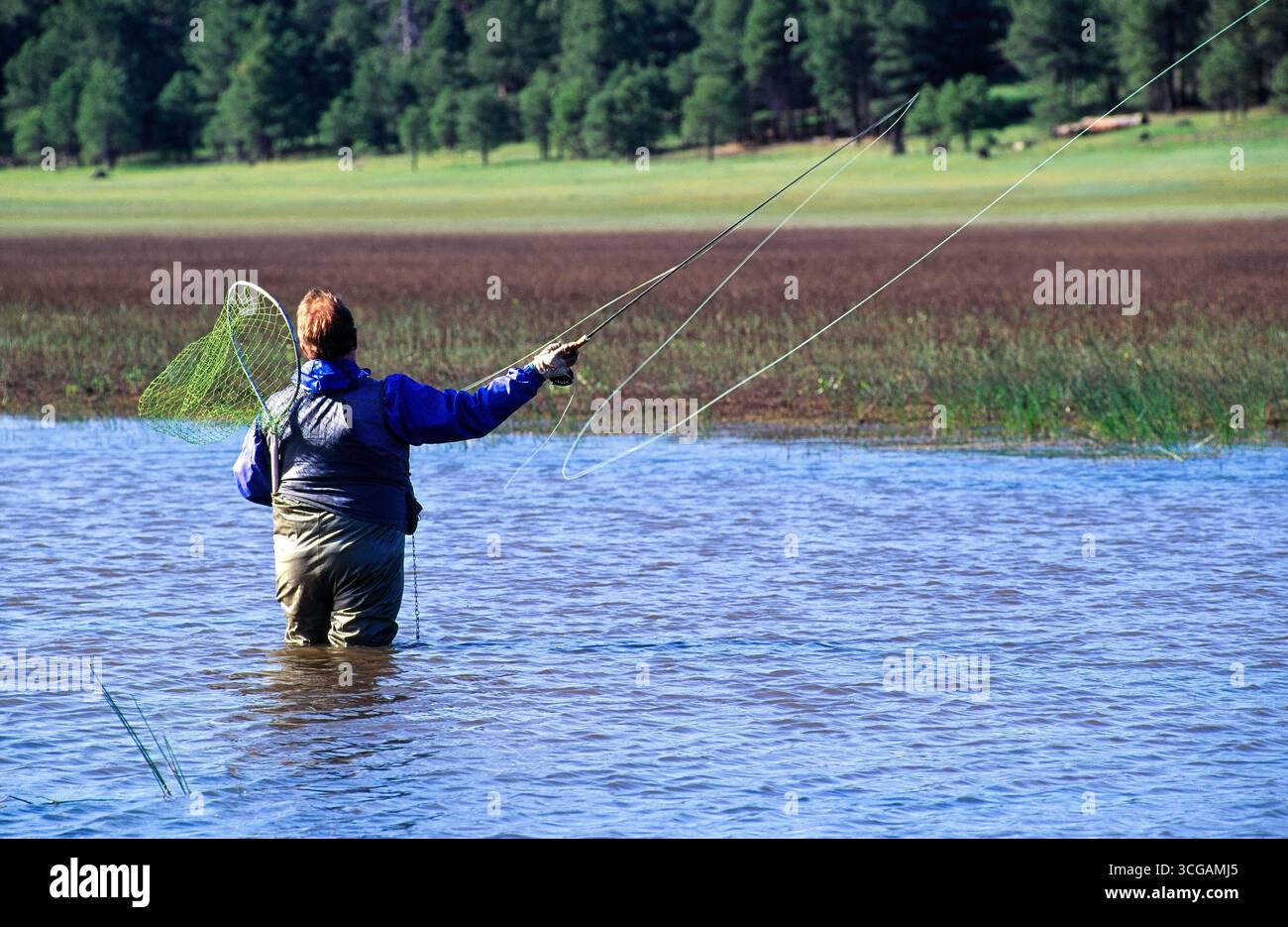 Un adulto che pesca sul lago Mary fuori Flagstaff, Arizona. Foto Stock