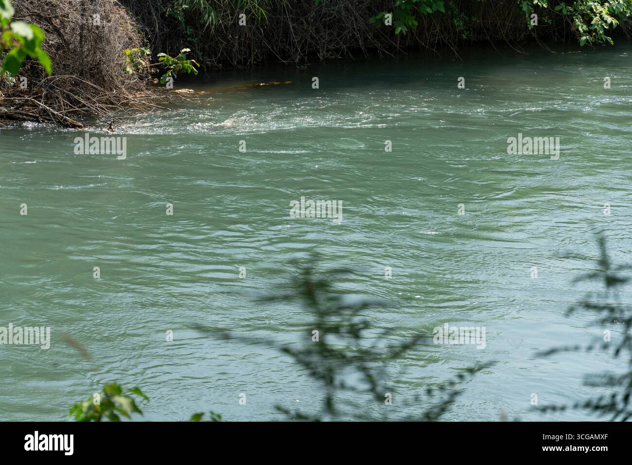 Sereno fiume verde-blu che scorre attraverso fitte fogliame, con morbide increspature e vegetazione naturale che creano un'atmosfera tranquilla e incontaminata Foto Stock