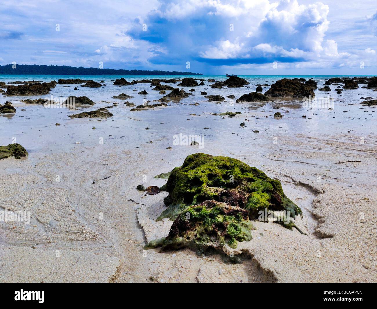 Spiagge incontaminate delle Andamane con acque turchesi, sabbie bianche soffici, palme tropicali e il tranquillo fascino costiero, perfette per rilassarsi, viaggiare e fare un viaggio Foto Stock