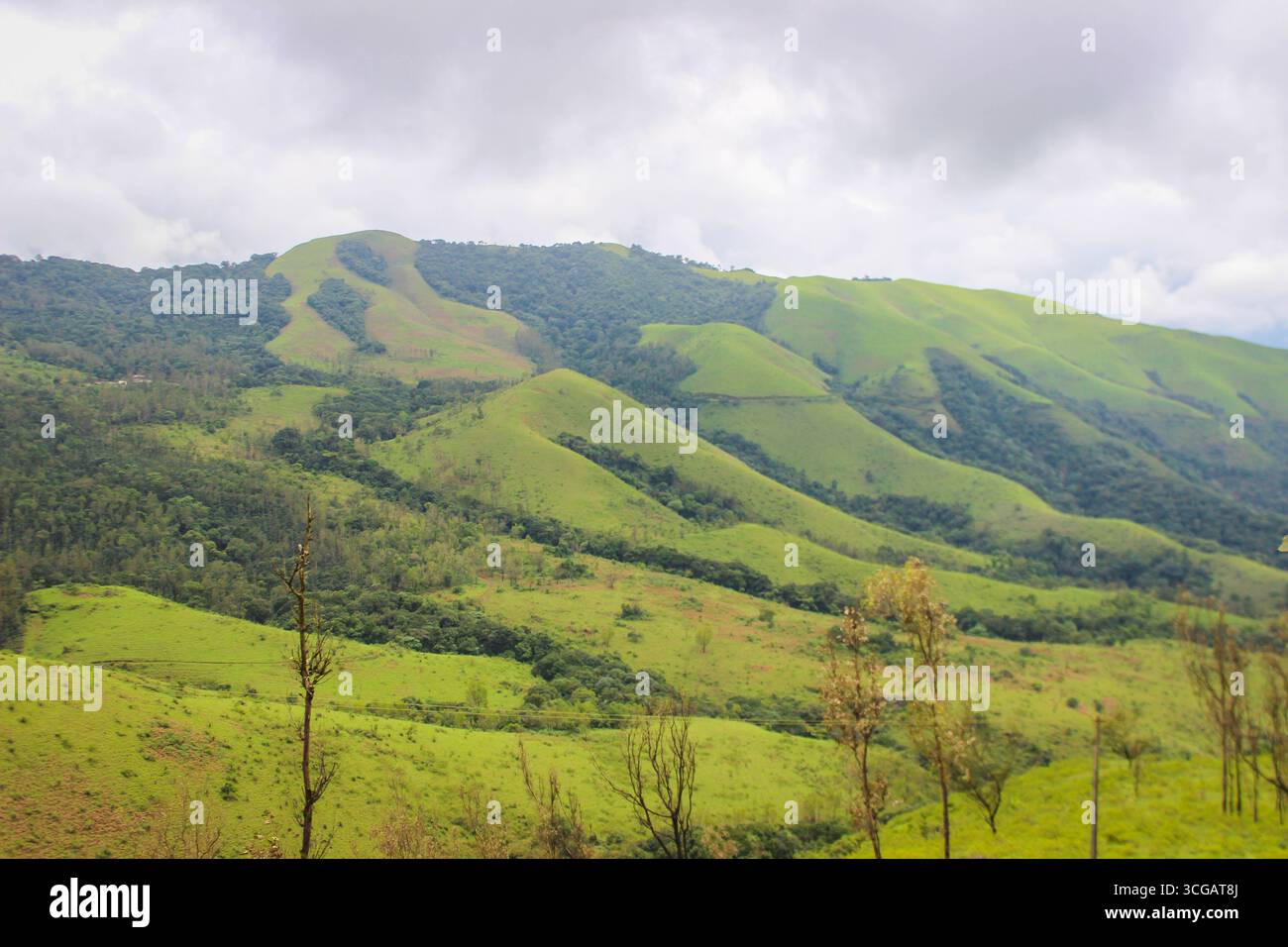 Lussureggiante vegetazione indiana con foreste, campi, giardini e colline, che mette in mostra i ricchi paesaggi naturali del paese e la vibrante diversità ecologica. Foto Stock