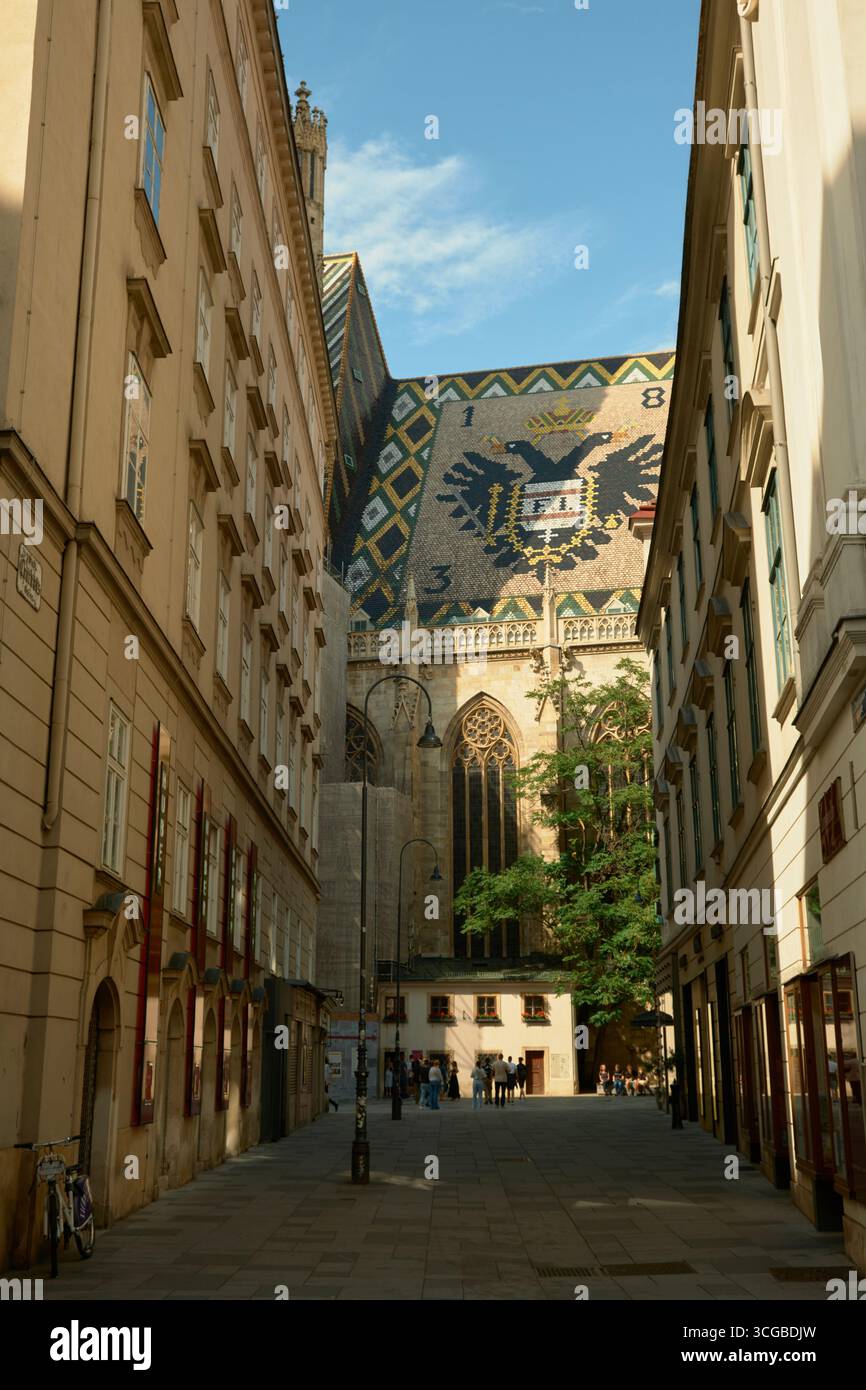 Vista della cattedrale di Santo Stefano a Vienna attraverso una strada della città con lampade, che mostra il suo tetto a mosaico con simboli dell'aquila imperiale parzialmente illuminati Foto Stock