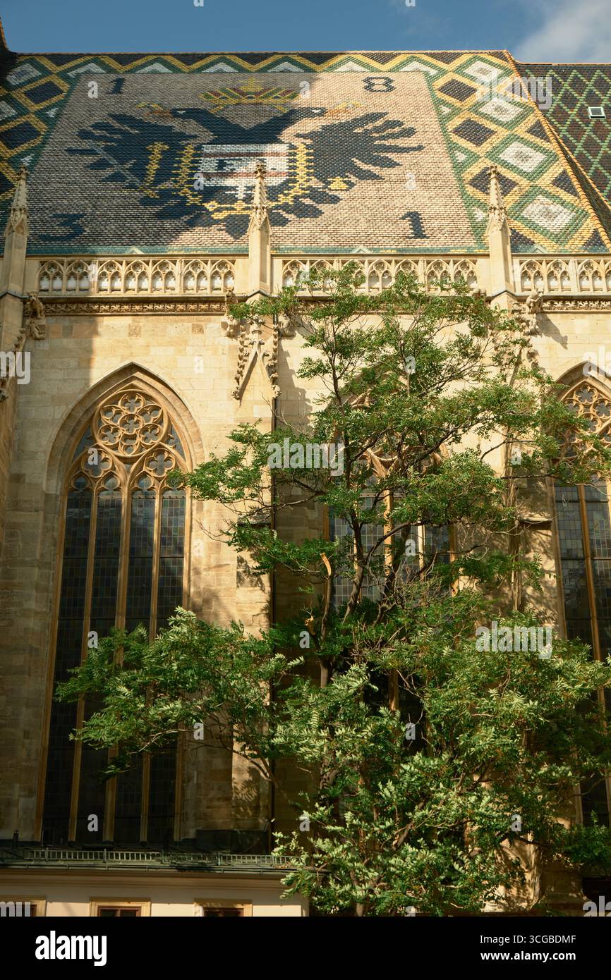 Primo piano di un lussureggiante albero illuminato dal sole di fronte alla cattedrale di Santo Stefano a Vienna, con il suo tetto a mosaico con aquile imperiali e grandi vetrate colorate Foto Stock