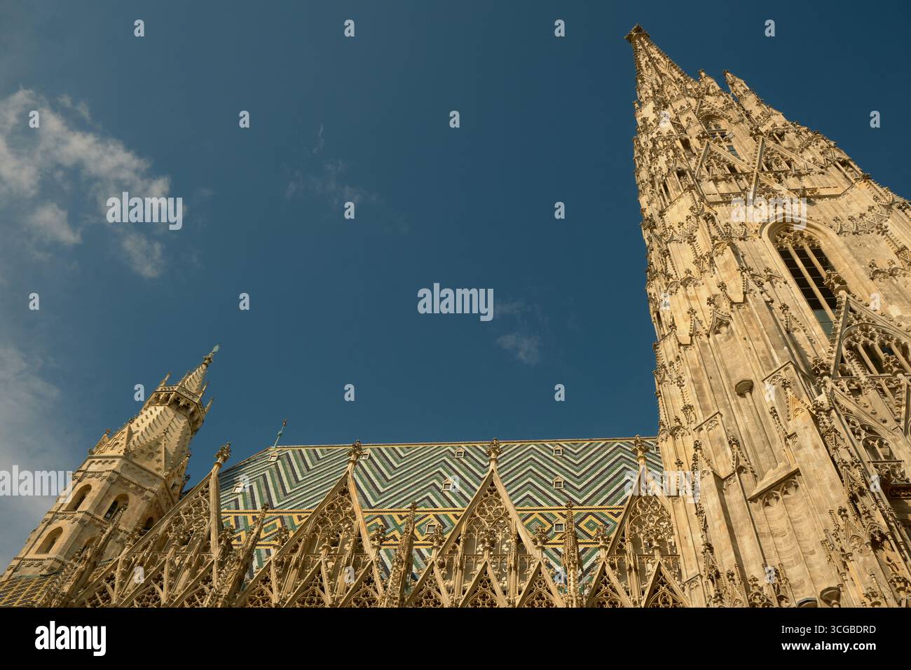 Vista laterale verso l'alto della cattedrale di Santo Stefano di Vienna, caratterizzata dall'alta guglia e dal cielo azzurro, che enfatizza la verticalità gotica e l'arco Foto Stock