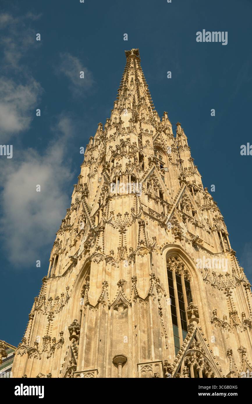 Guardando verso l'alto la torreggiante guglia della cattedrale di Santo Stefano a Vienna, che mostra dettagli gotici e intricate pietre contro un cielo blu brillante. Foto Stock