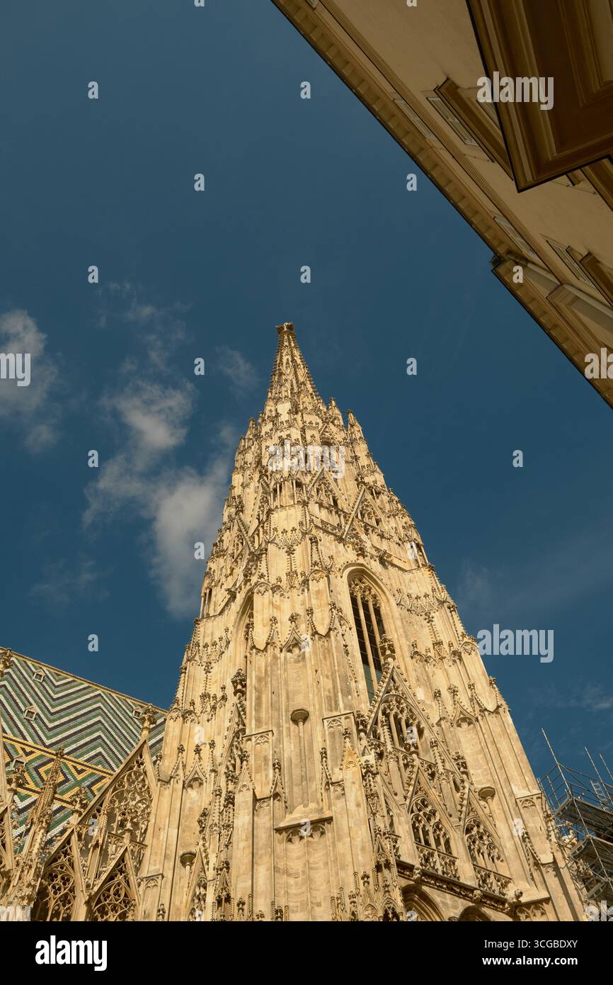 Guardando in alto la guglia della Cattedrale di Santo Stefano con intricati dettagli gotici, compresa parte della facciata dell'edificio vicino, sotto un sk blu brillante Foto Stock