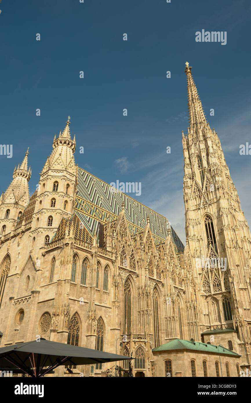 Ampia vista della cattedrale di Santo Stefano con le sue guglie gotiche e il tetto a mosaico, incorniciata da un ombrello da caffè in primo piano, sotto un cielo luminoso e soleggiato. Foto Stock