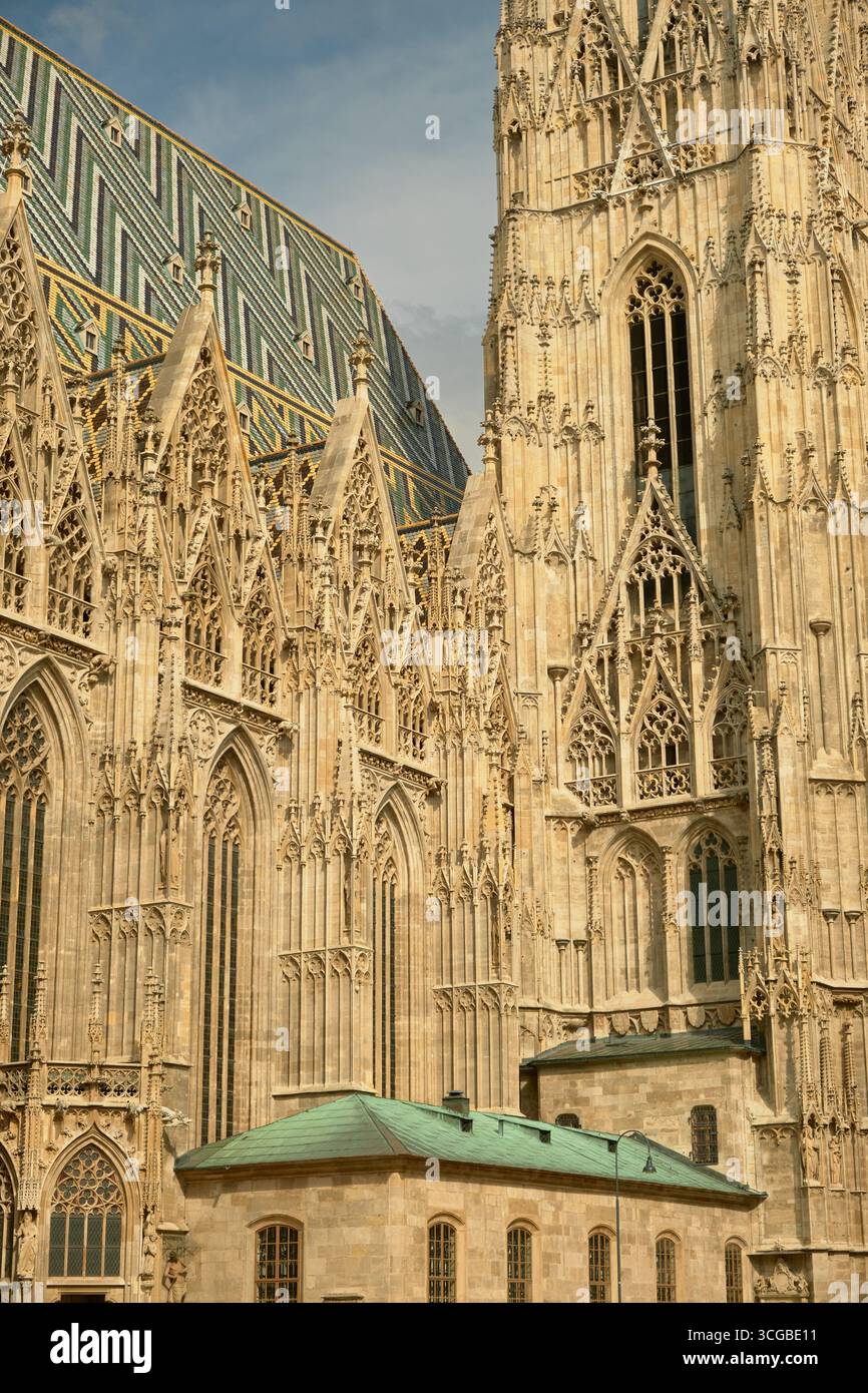 Primo piano della cattedrale di Santo Stefano a Vienna, che mostra l'intricata facciata gotica, gli archi a punta, i dettagli dei tracciati in pietra e i motivi colorati Foto Stock