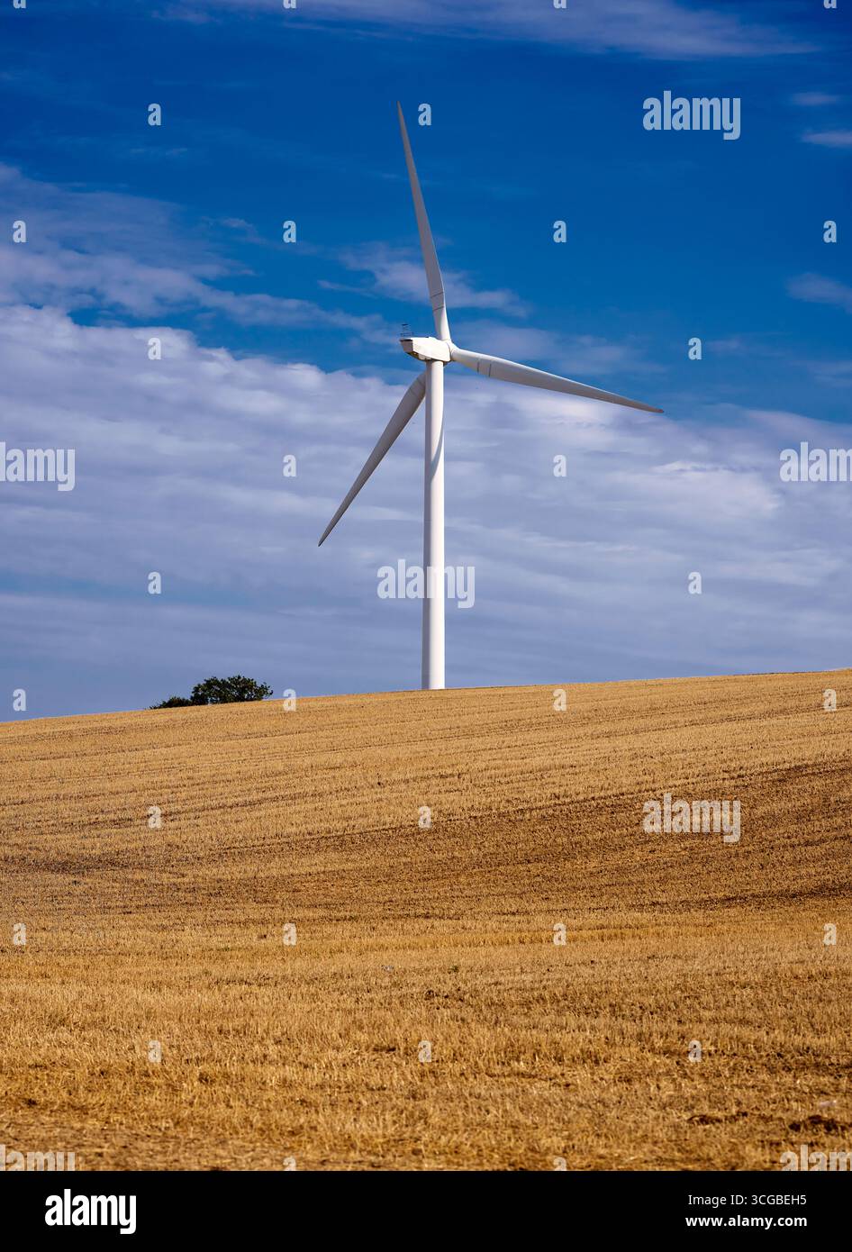 Turbina eolica di campo Foto Stock