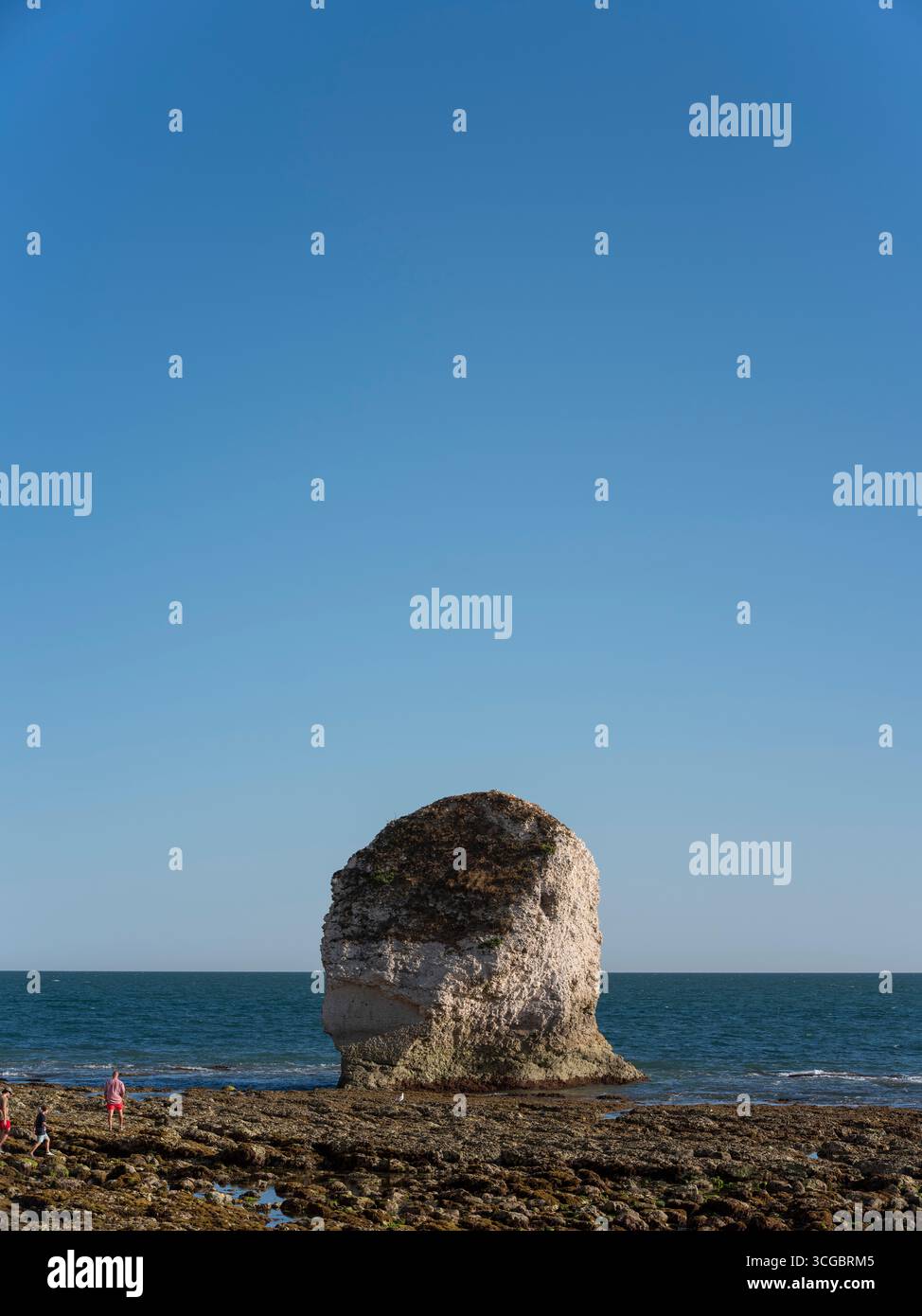 Lo stack marino di Freshwater Bay, sulla costa sud-occidentale dell'isola di Wight Foto Stock